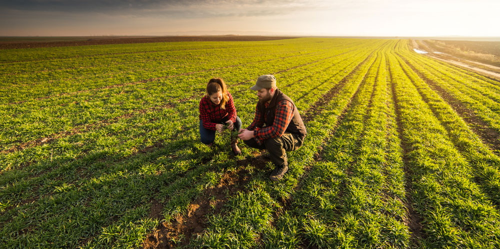 Agriculteurs CDA L�agriculture de demain Formation