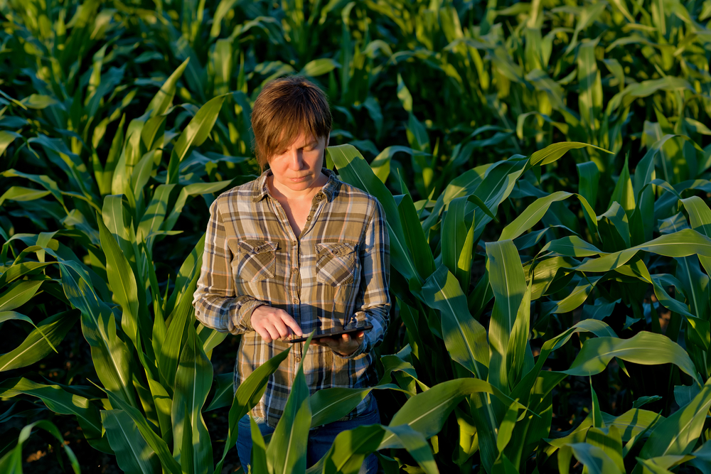 fair agriculture