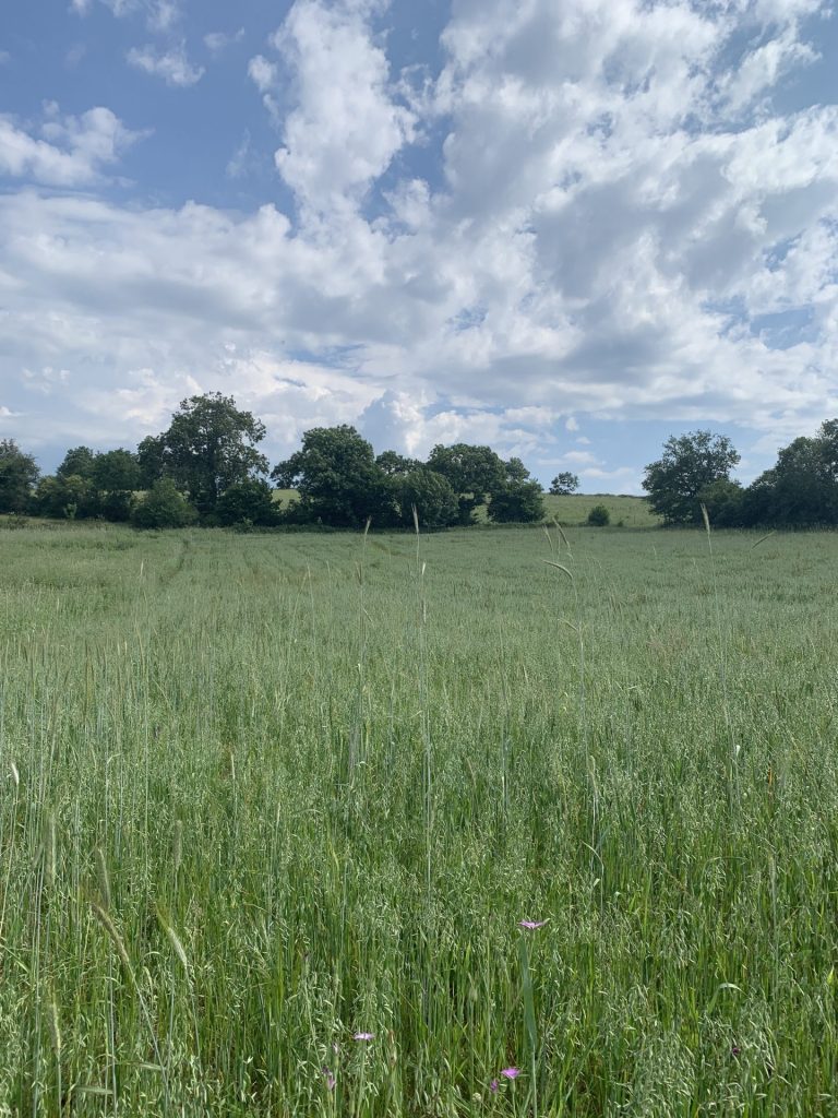 visits-to-pilot-farms